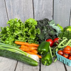 Panier légumes Bio : 8 à 10 portions (abonnement pour livraison à partir du 10 juin)