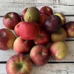 Pommes variétés mélangées 2ième qualité 5lbs (sans cire)