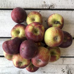 Pommes Cortland 5lbs (sans cire)