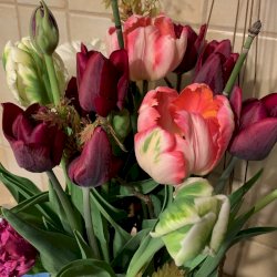 Bouqet moyen de tulipes de fantaisies