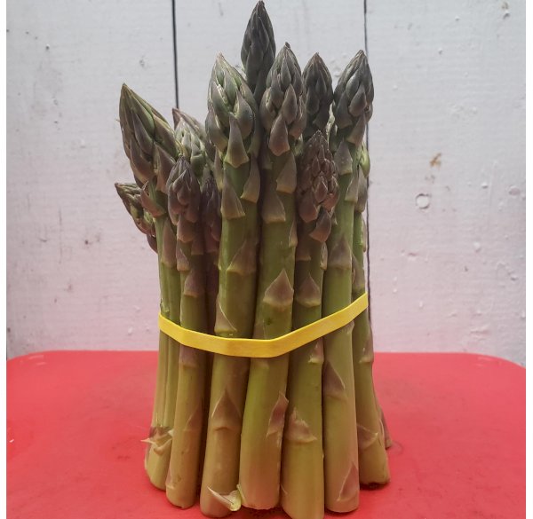 product name