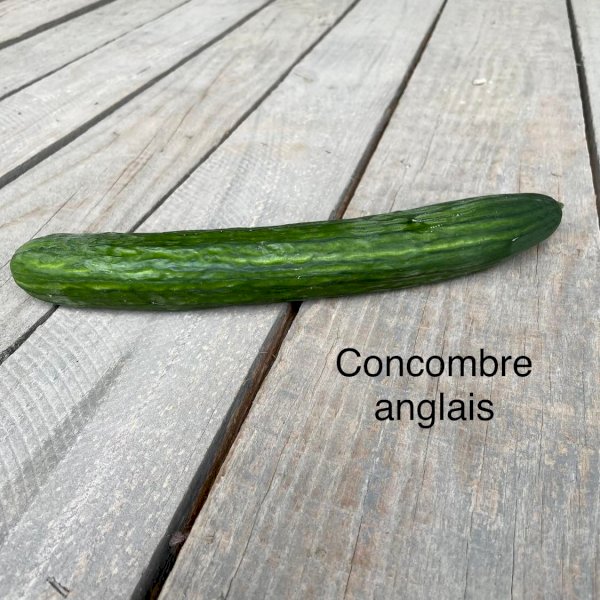 product name