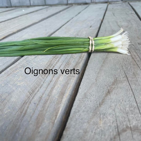 product name